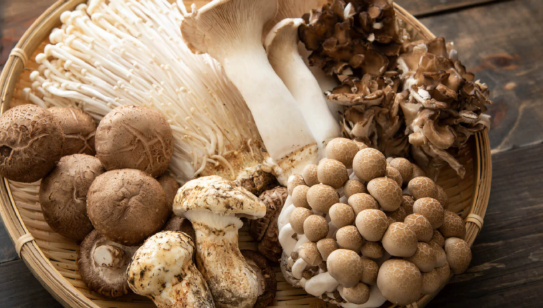 How to Be Responsible with Mushrooms